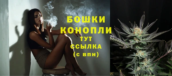 индика Алагир