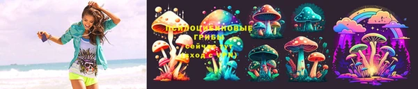 метамфетамин Козловка