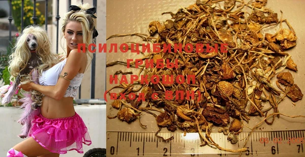 марихуана Коряжма